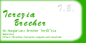 terezia brecher business card